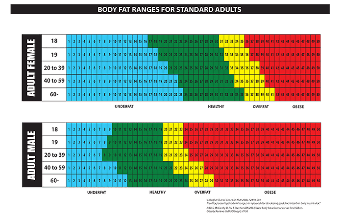 mens body fat percentages mens body fat percentages