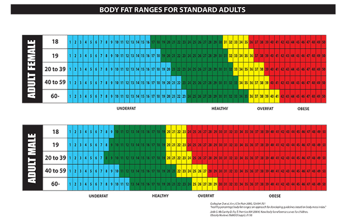 Body Mass Fat Percentage