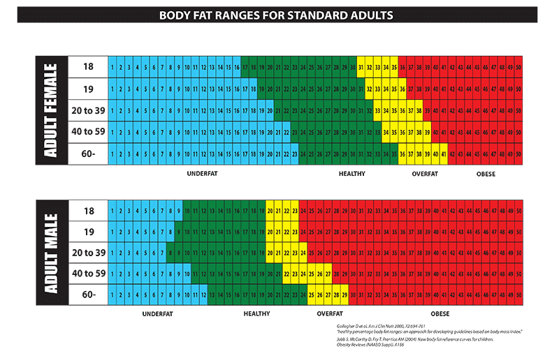 bodyfat calculator bodyfat calculator