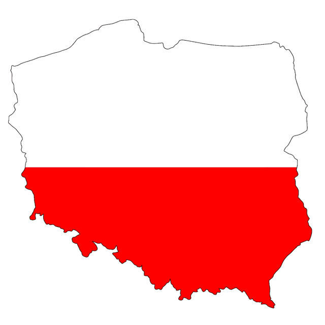 Random Polish Names Generator [2021]