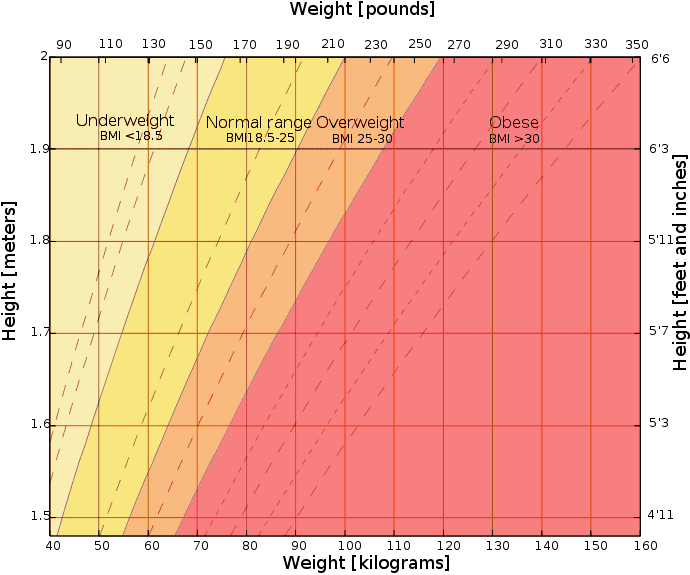 BMI chart