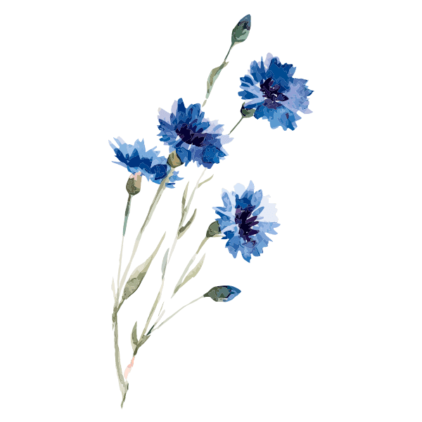 Random Plant Username Generator [2021]
